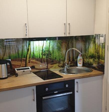 Apartament Przy Starym Miescie 엘블라그 외부 사진