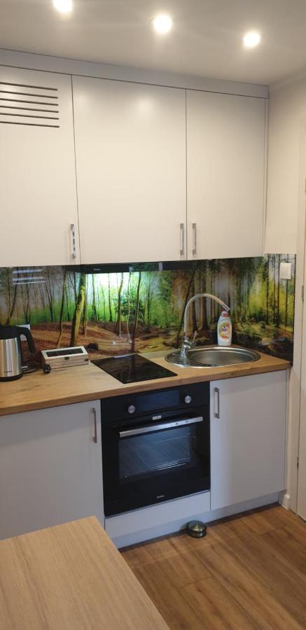 Apartament Przy Starym Miescie 엘블라그 외부 사진